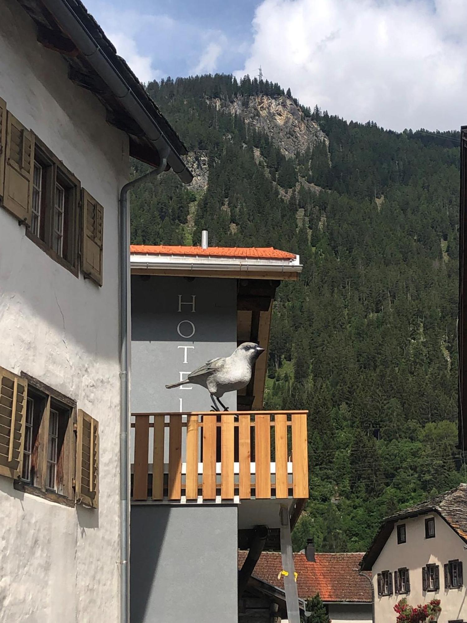 Appart Hotel Pitschonia Self Check-In Andeer Dış mekan fotoğraf
